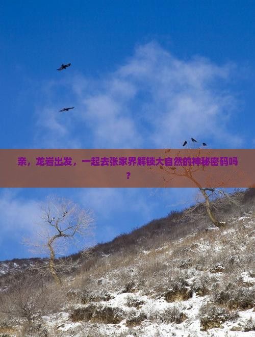 龙岩到张家界门票