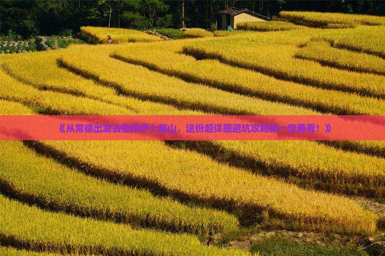 常德去张家界七星山攻略