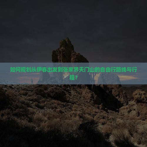 伊春到张家界天门山自由行