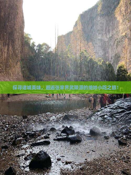 诸城到张家界武陵源旅游小吃