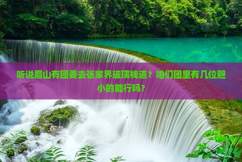 眉山去张家界玻璃栈道大型旅游团