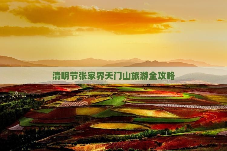 清明节到张家界天门山旅游