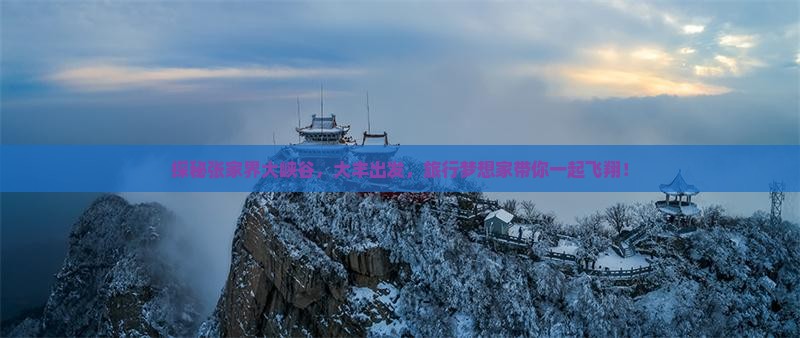 大丰到张家界大峡谷旅行社