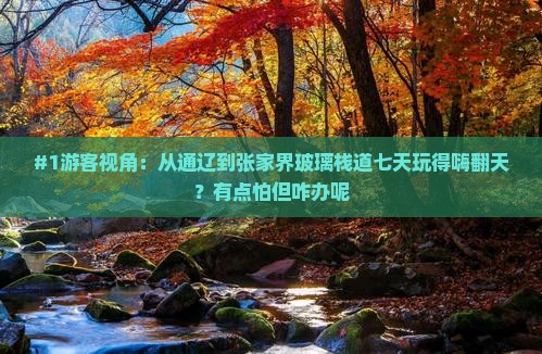 通辽市去张家界玻璃栈道七日游