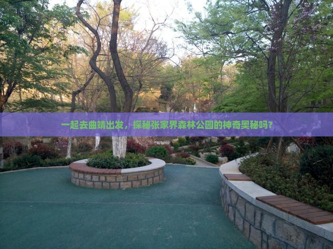 曲靖去张家界森林公园团体旅游