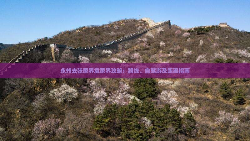 永州去张家界袁家界攻略