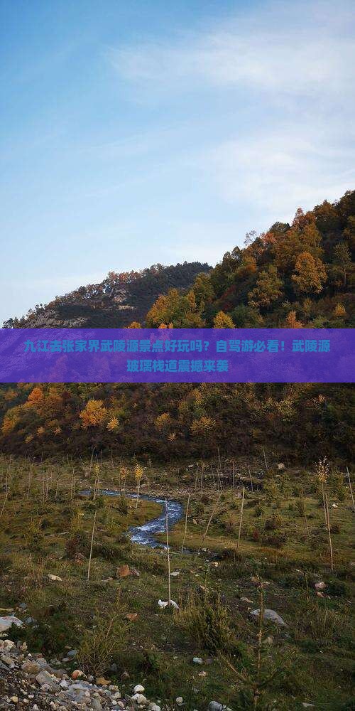 九江去张家界武陵源景点