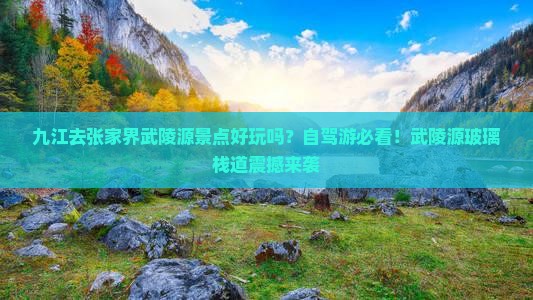 九江去张家界武陵源景点