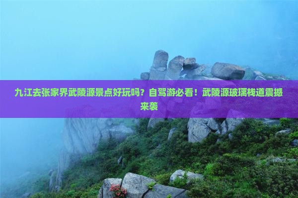九江去张家界武陵源景点