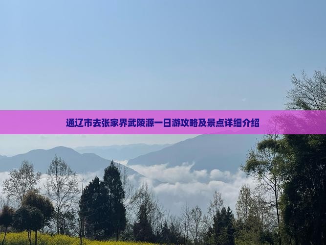 通辽市去张家界武陵源一日