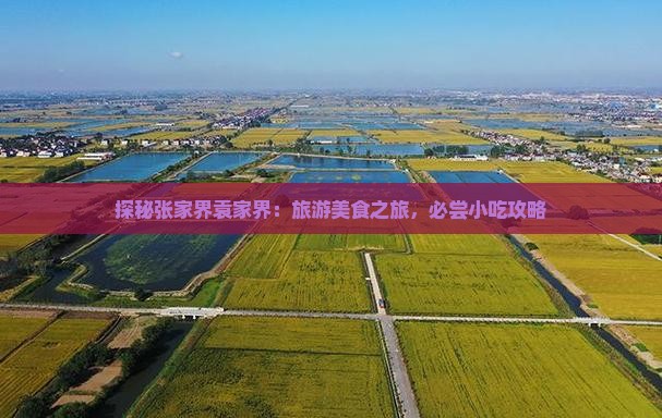 拉萨到张家界袁家界旅游小吃 拉萨到张家界袁家界旅游小吃
