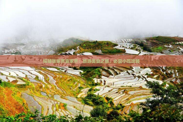 拉萨到张家界袁家界旅游小吃 拉萨到张家界袁家界旅游小吃