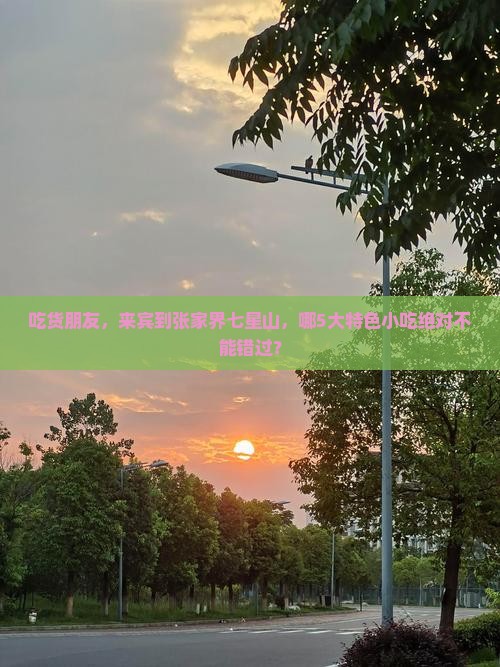 来宾到张家界七星山旅游小吃