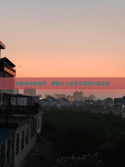 荆州到张家界旅游小吃