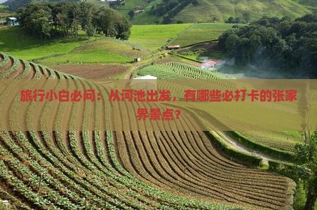河池去张家界必去地
