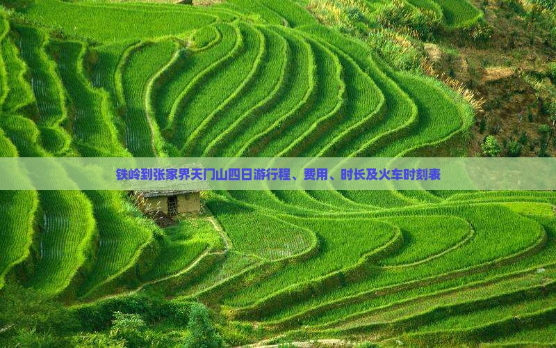 铁岭到张家界天门山四日游