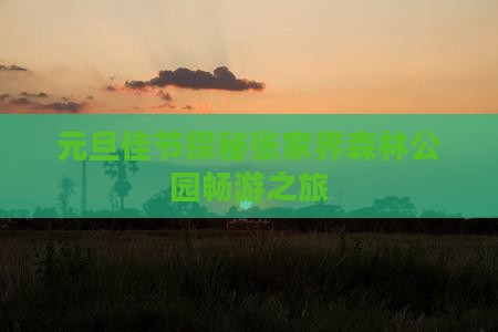 元旦去张家界森林公园大型旅游团