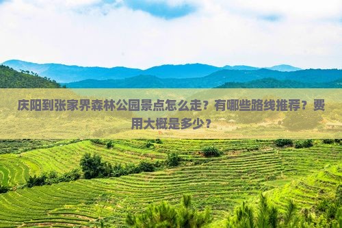 庆阳到张家界森林公园景点