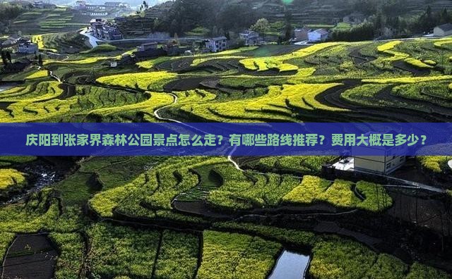 庆阳到张家界森林公园景点