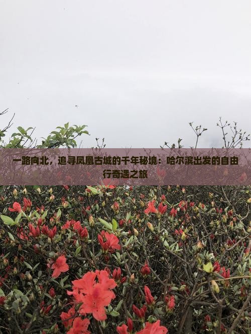 哈尔滨去张家界凤凰古城自由行