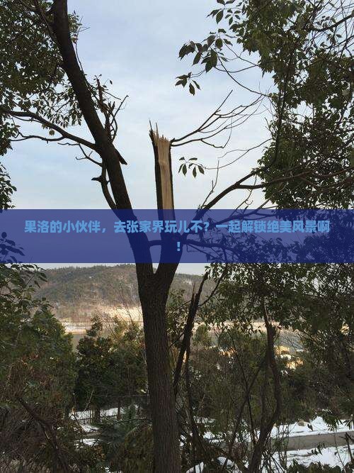 果洛去张家界旅游