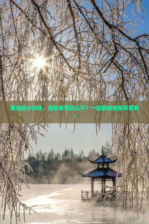 果洛去张家界旅游