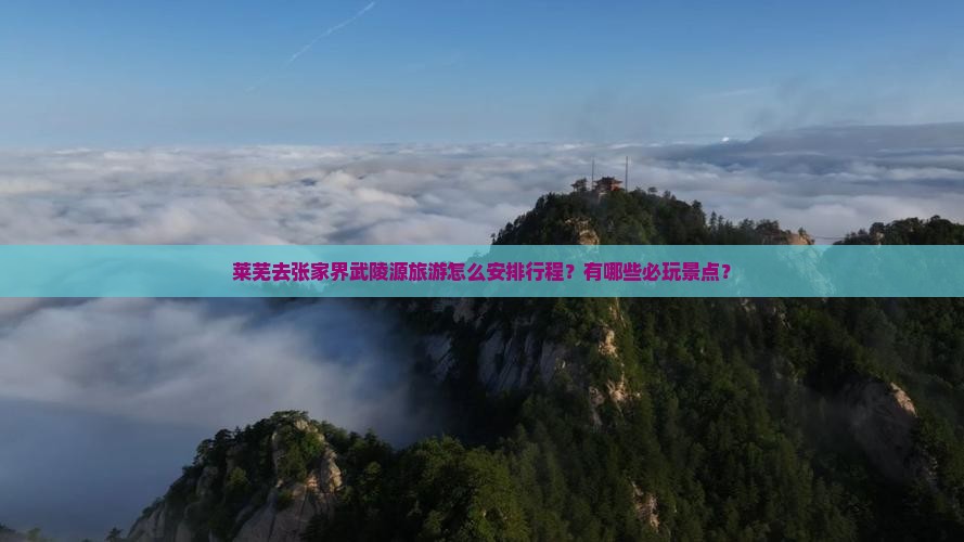 莱芜去张家界武陵源哪里玩