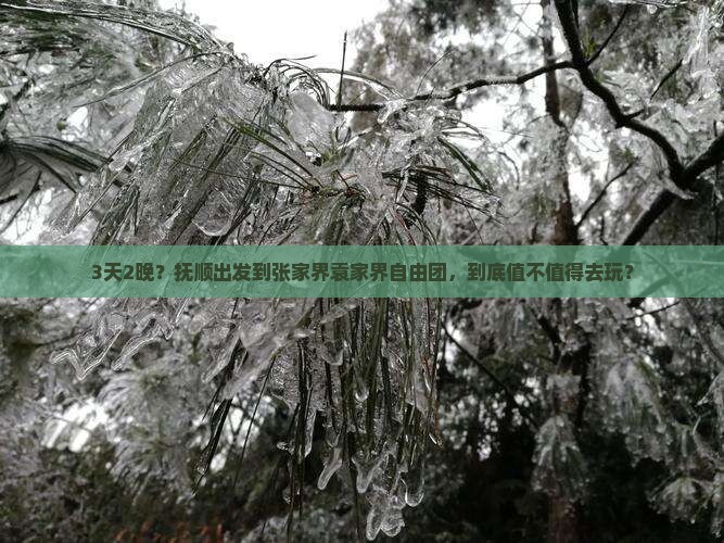 抚顺到张家界袁家界自由团