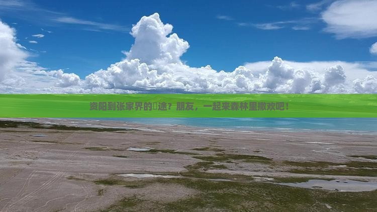 资阳到张家界森林公园团体旅游