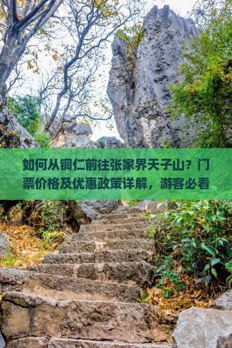 铜仁去张家界天子山门票