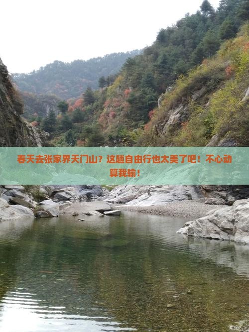 春天去张家界天门山自由行
