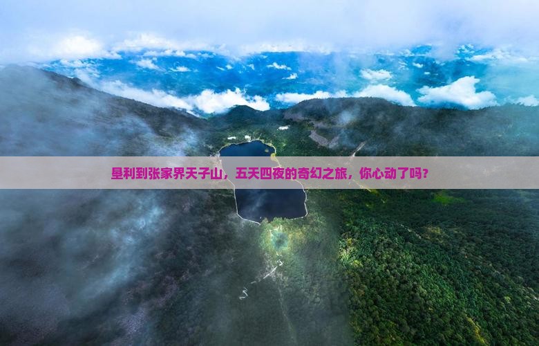 垦利去张家界天子山五日游