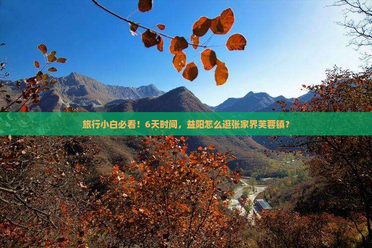 益阳去张家界芙蓉镇六日游