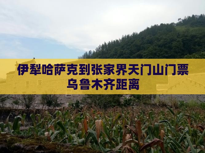 伊犁哈萨克到张家界天门山门票 伊犁哈萨克到张家界天门山门票