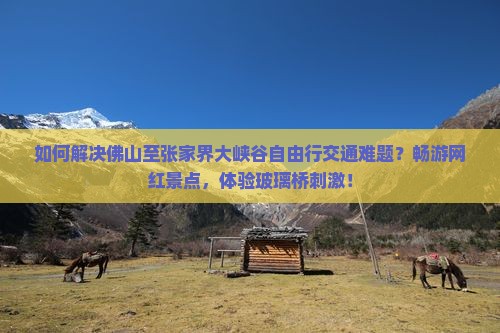 佛山去张家界大峡谷自由行