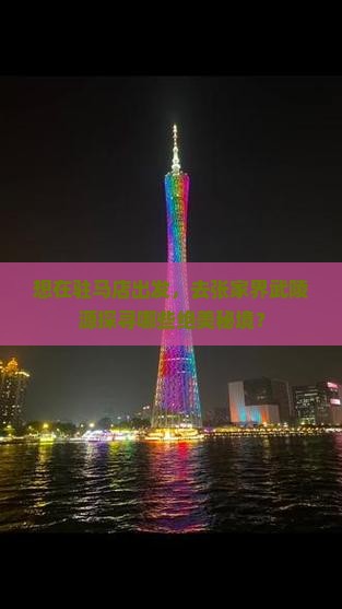 驻马店到张家界武陵源哪里玩