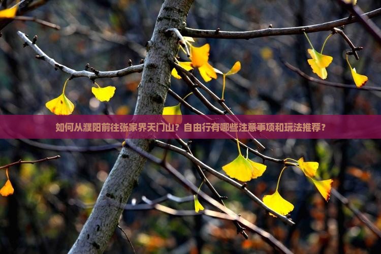濮阳去张家界天门山自由行