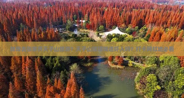 蚌埠去张家界天子山旅游