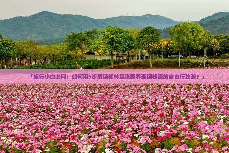榆林到张家界玻璃栈道自由行