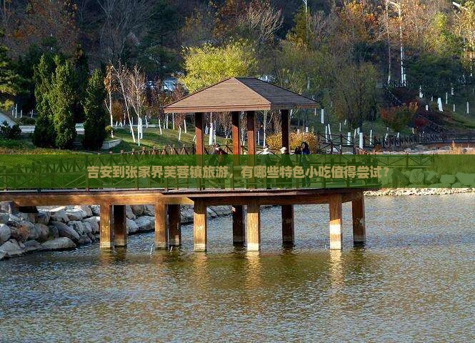 吉安到张家界芙蓉镇旅游小吃