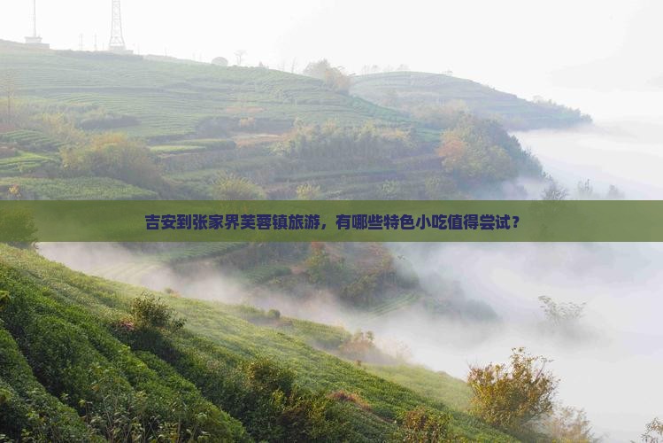 吉安到张家界芙蓉镇旅游小吃