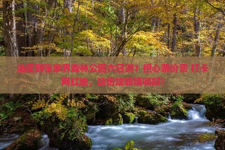 汕尾到张家界森林公园六日游