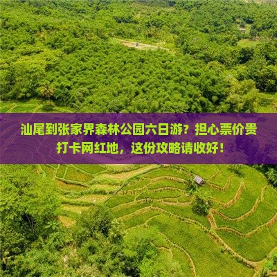汕尾到张家界森林公园六日游