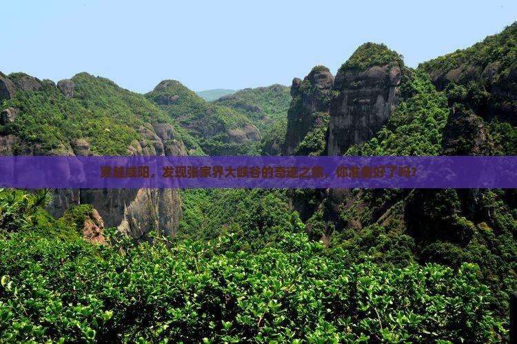 咸阳到张家界大峡谷旅行社 咸阳到张家界大峡谷旅行社