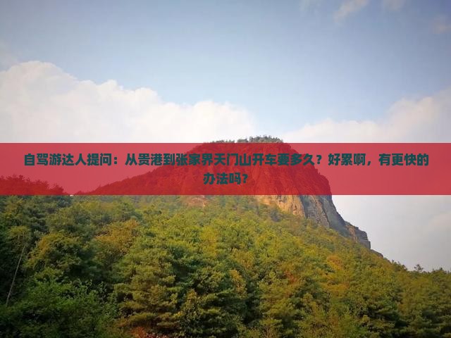 贵港到张家界天门山景点