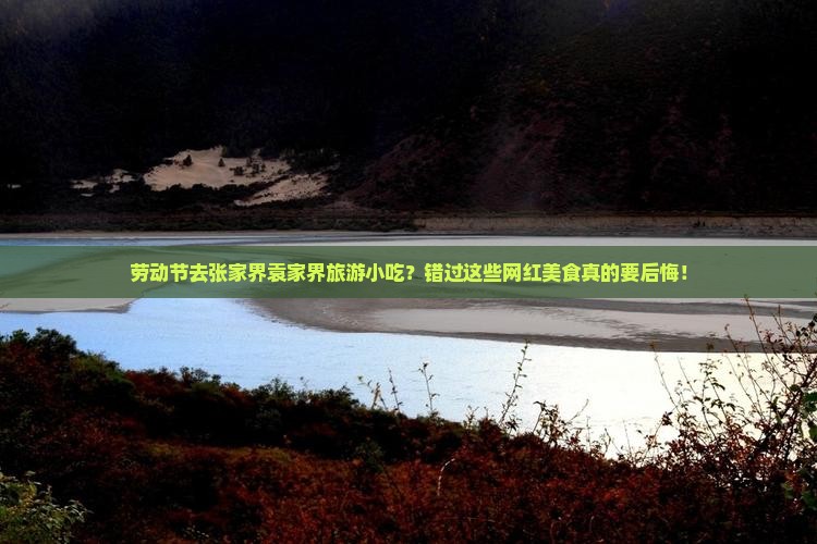 劳动节去张家界袁家界旅游小吃