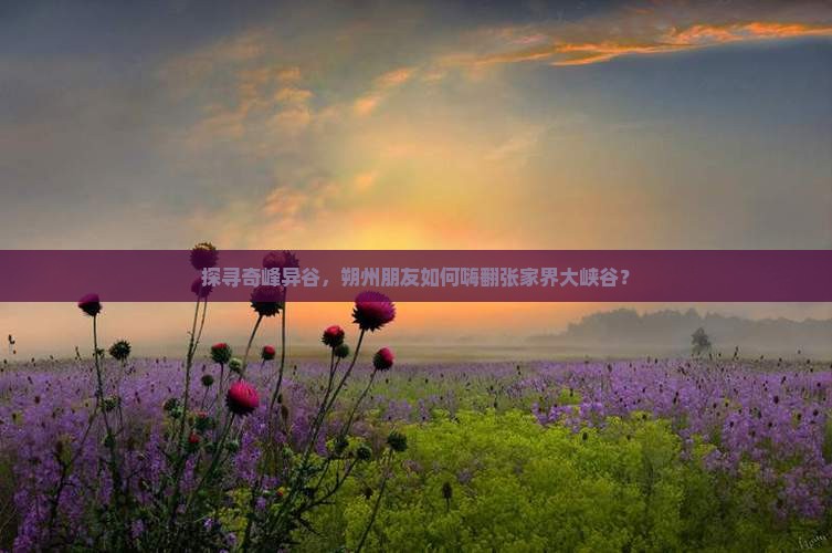 朔州到张家界大峡谷大型旅游团
