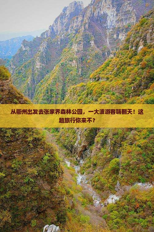 衢州到张家界森林公园大型旅游团