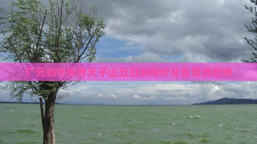 广元到张家界天子山五日游