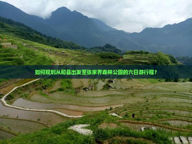 和县去张家界森林公园六日游
